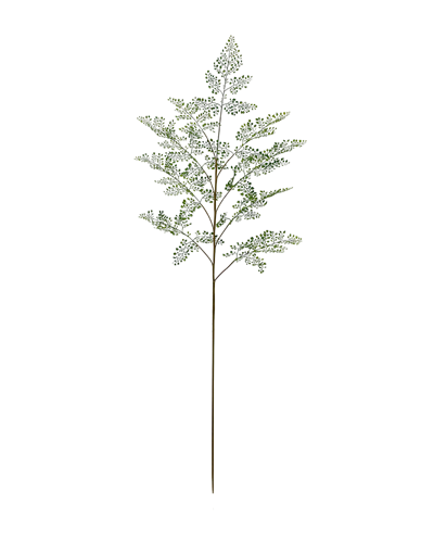 Adianthum branch 153cm